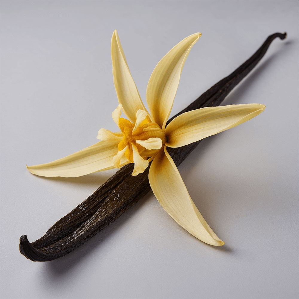 GlowGuard™ Tallow Balm with Vanilla Bean