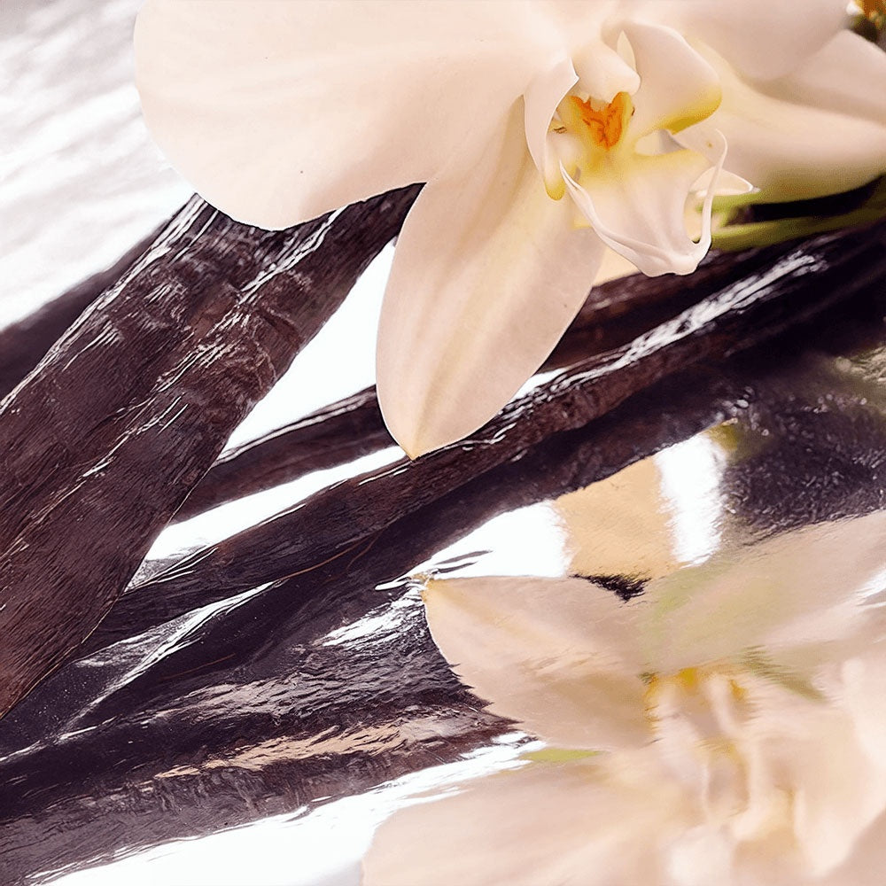 GlowGuard™ Tallow Balm with Vanilla Bean